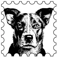 CHIENS
